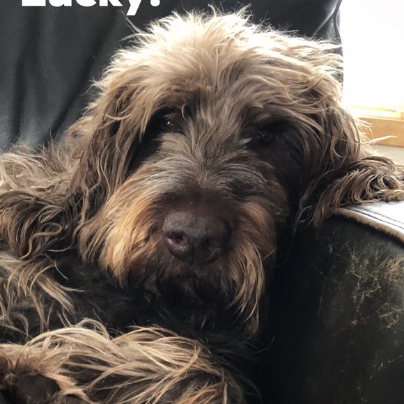 Meet your Posher, Teresa - Picture 1 of 1